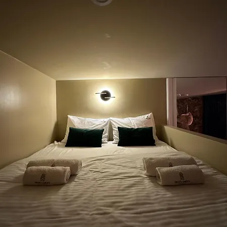 Boogie Papillon 13 * Łódź