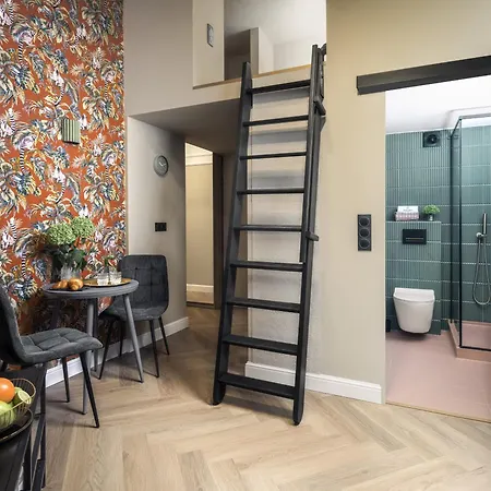 Boogie Papillon 13 *